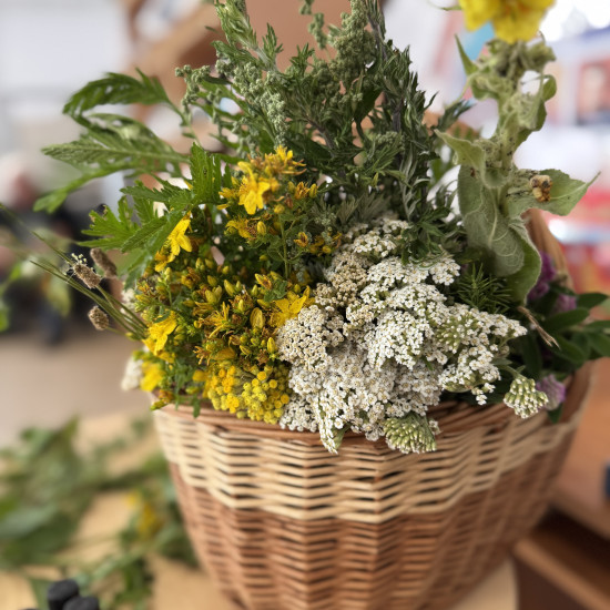 Arteterapia i aromaterapia. Zajęcia dla dzieci na temat ziół.