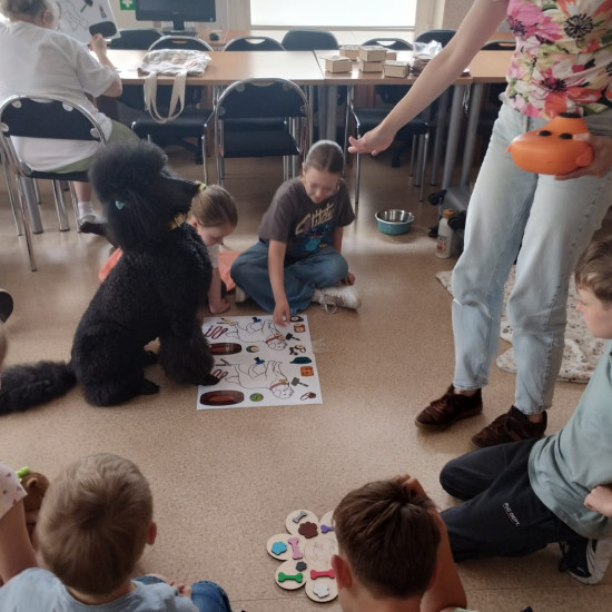 Dzień Dziecka i  gość specjalny -pudelek z Pudlove Centrum w Tarnowskich Górach