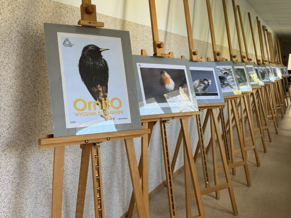 Wystawa fotografii ptaków