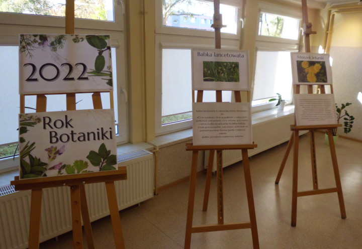 Rok Botaniki - wystawa