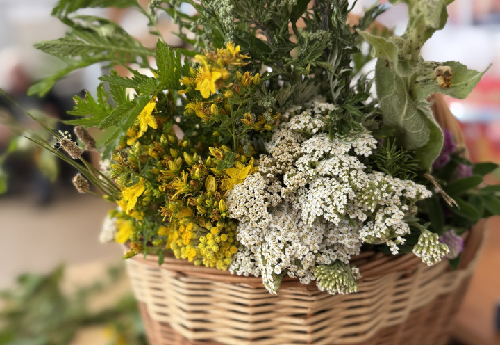 Arteterapia i aromaterapia. Zajęcia dla dzieci na temat ziół.