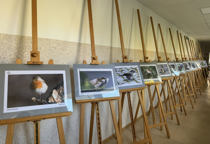 Wystawa fotografii ptaków