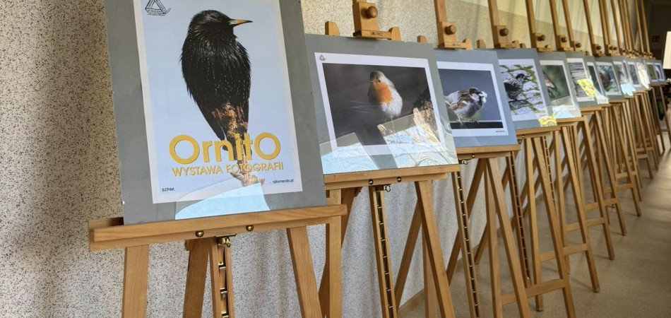 grafika dla wpisu: Wystawa fotografii ptaków